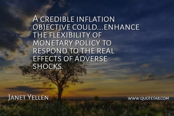 Janet Yellen Quote About Adverse, Credible, Effects, Inflation, Monetary: A Credible Inflation Objective Could...