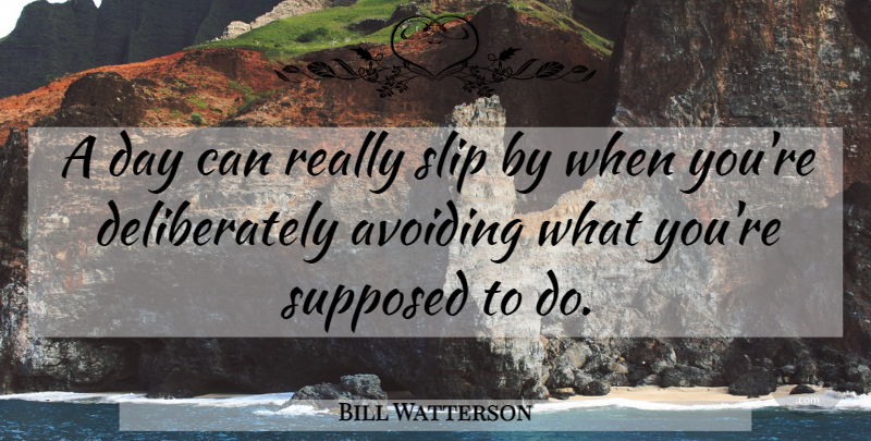 Bill Watterson Quote About Hobbes, Avoiding, Slips: A Day Can Really Slip...