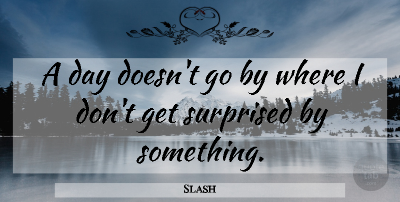 Slash Quote About undefined: A Day Doesnt Go By...