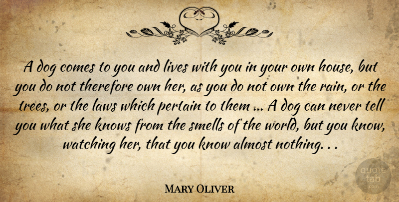 Mary Oliver Quote About Dog, Rain, Law: A Dog Comes To You...