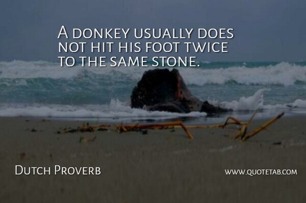 Dutch Proverb Quote About Donkey, Foot, Hit, Twice: A Donkey Usually Does Not...