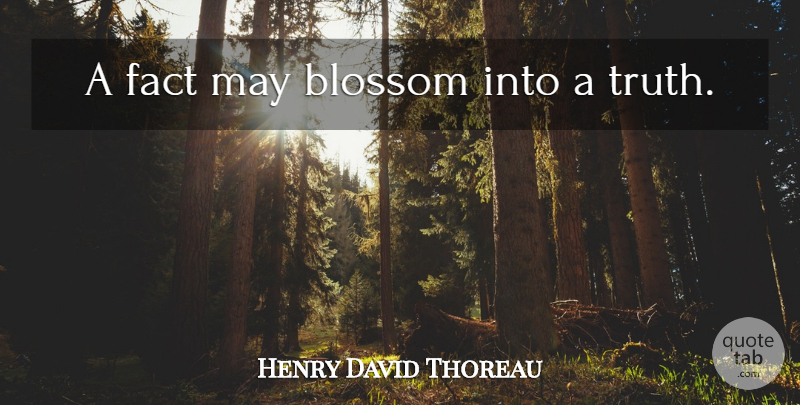 Henry David Thoreau Quote About May, Facts: A Fact May Blossom Into...