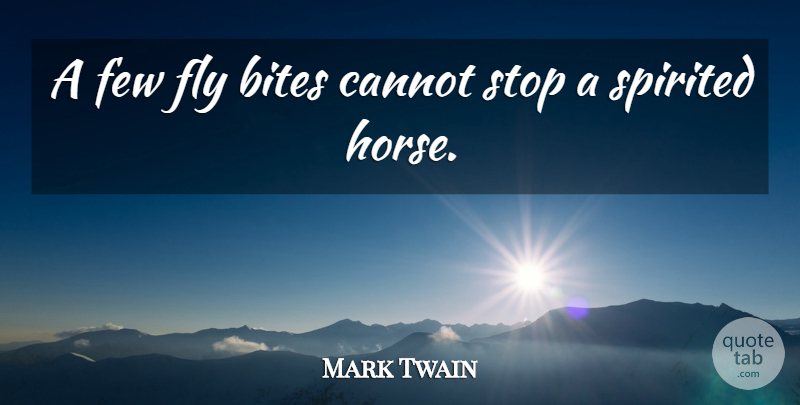 Mark Twain Quote About Horse, Spirited, Bites: A Few Fly Bites Cannot...