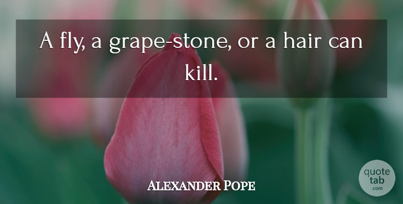 Alexander Pope Quote About Hair, Stones, Grapes: A Fly A Grape Stone...