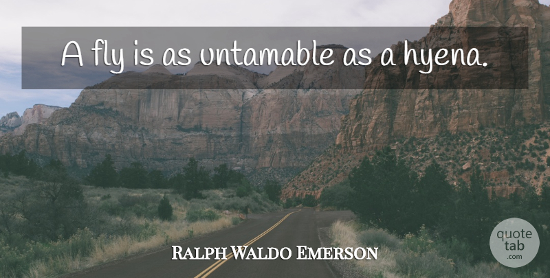 Ralph Waldo Emerson Quote About Animal, Hyenas: A Fly Is As Untamable...