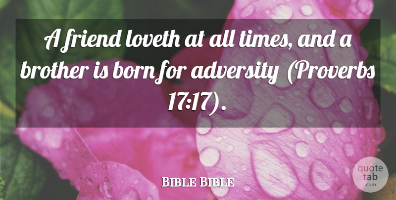 Bible Bible Quote About Adversity, Born, Brother, Friend, Loveth: A Friend Loveth At All...