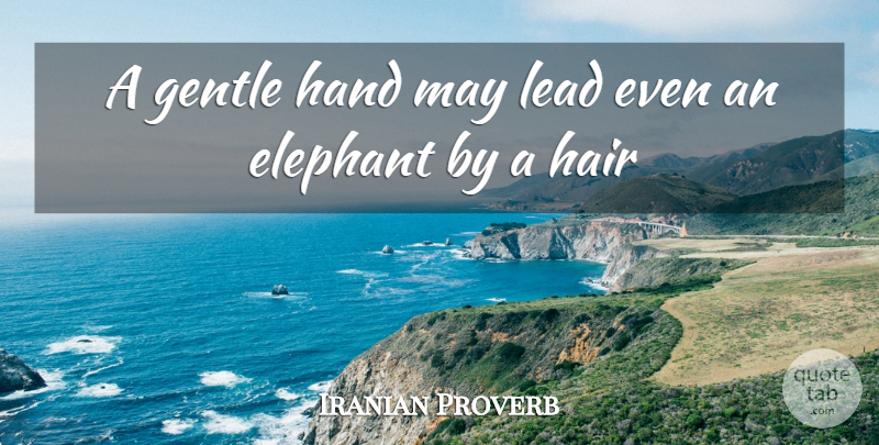 Iranian Proverb Quote About Elephant, Gentle, Hair, Hand, Lead: A Gentle Hand May Lead...