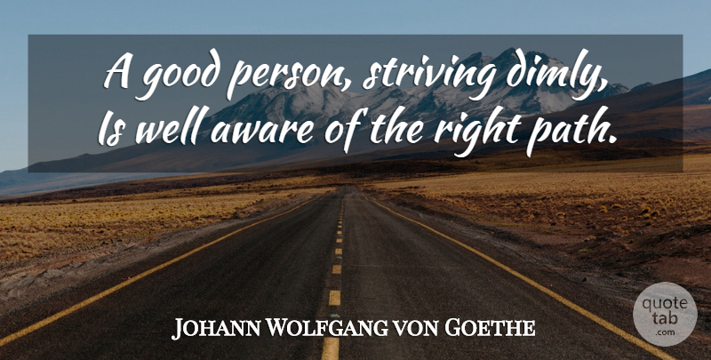 Johann Wolfgang von Goethe Quote About Path, Good Person, Strive: A Good Person Striving Dimly...