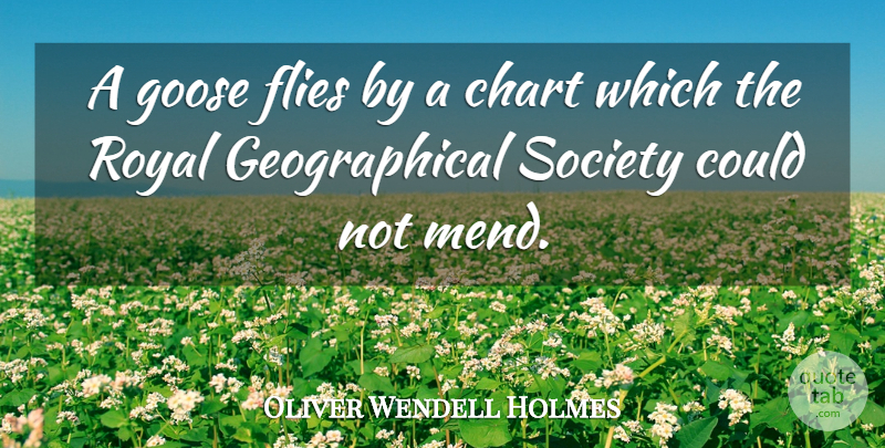 Oliver Wendell Holmes Quote About Nature, Royal, Instinct: A Goose Flies By A...