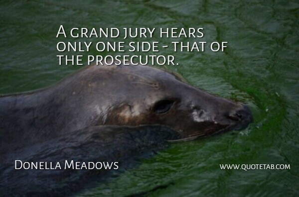 Donella Meadows Quote About Sides, Jury, Prosecutor: A Grand Jury Hears Only...