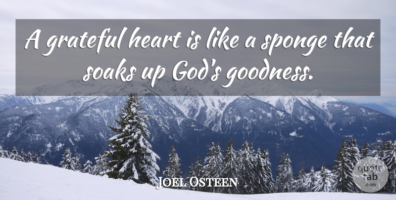 Joel Osteen Quote About Grateful, Heart, Goodness: A Grateful Heart Is Like...