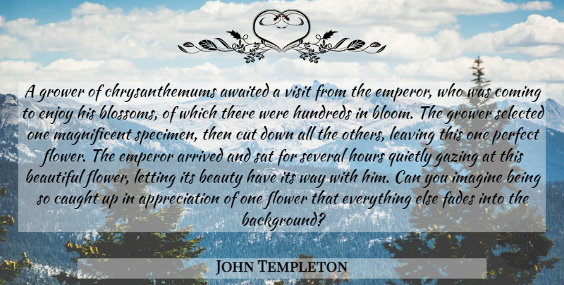 John Templeton Quote About Beautiful, Appreciation, Flower: A Grower Of Chrysanthemums Awaited...