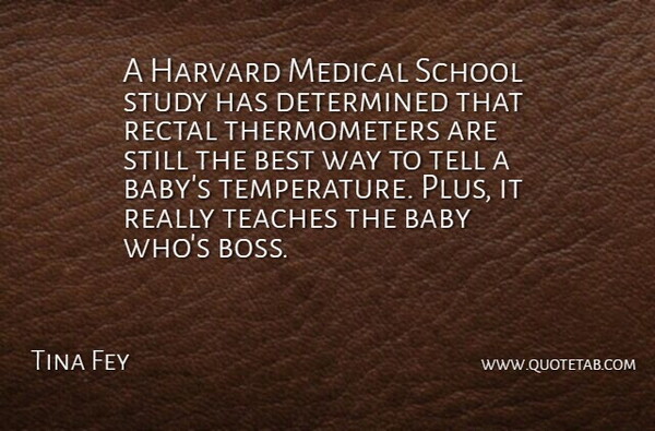 Tina Fey Quote About Baby, School, Boss: A Harvard Medical School Study...