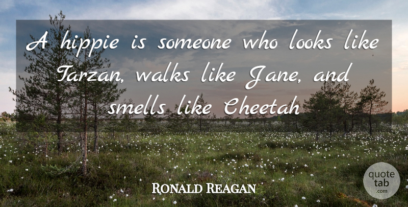 Ronald Reagan Quote About Hippie, Looks, Smells, Walks: A Hippie Is Someone Who...
