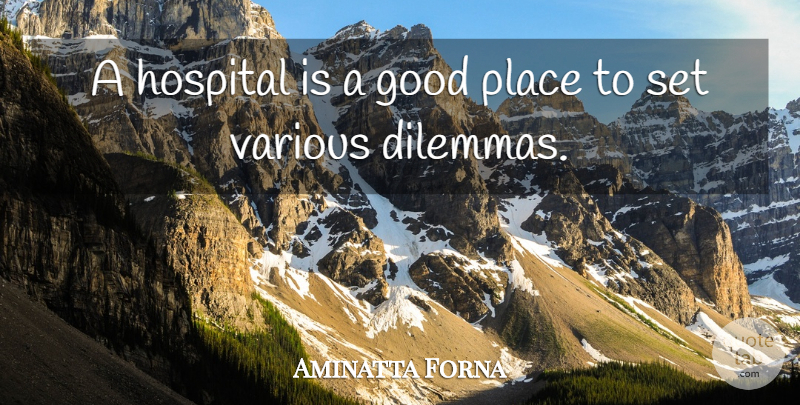 Aminatta Forna Quote About Good, Various: A Hospital Is A Good...