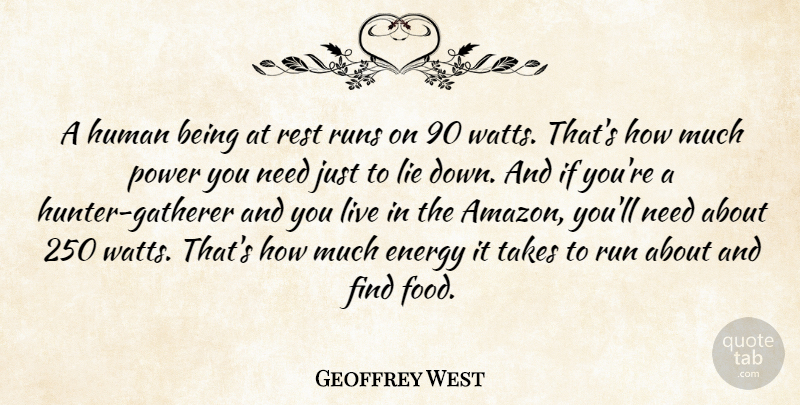 Geoffrey West Quote About Energy, Food, Human, Power, Rest: A Human Being At Rest...