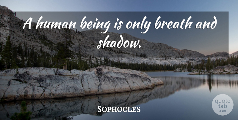 Sophocles Quote About Shadow, Humans, Human Beings: A Human Being Is Only...