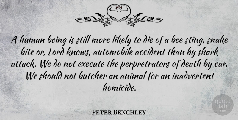 Peter Benchley Quote About Accident, Animal, Automobile, Bee, Bite: A Human Being Is Still...