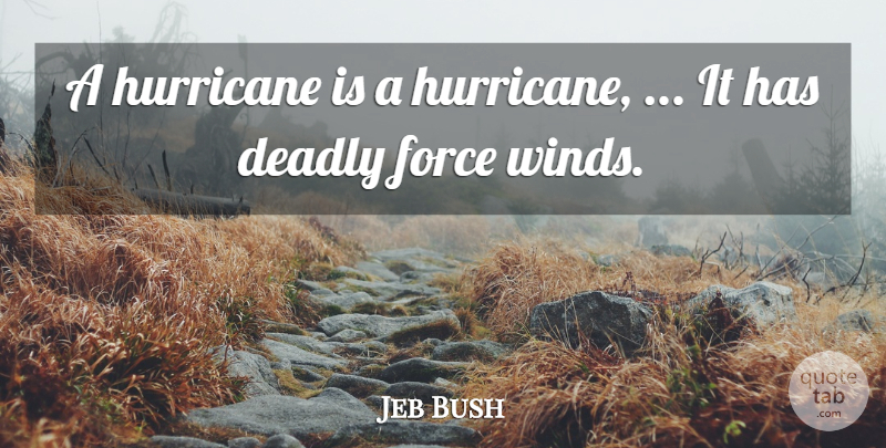 Jeb Bush Quote About Deadly, Force, Hurricane: A Hurricane Is A Hurricane...