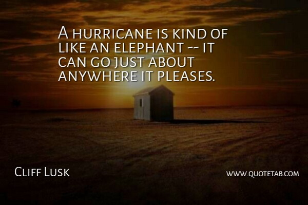 Cliff Lusk Quote About Anywhere, Elephant, Hurricane: A Hurricane Is Kind Of...