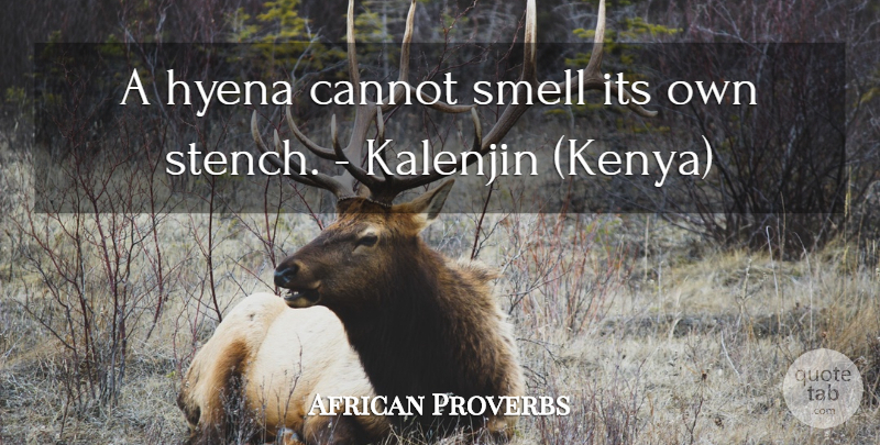 African Proverbs Quote About Cannot, Proverbs, Smell: A Hyena Cannot Smell Its...