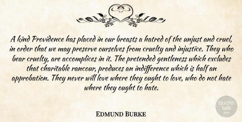 Edmund Burke Quote About Hate, Order, Hatred: A Kind Providence Has Placed...