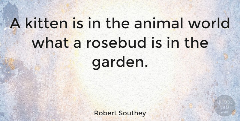 Robert Southey Quote About Cat, Garden, Animal: A Kitten Is In The...