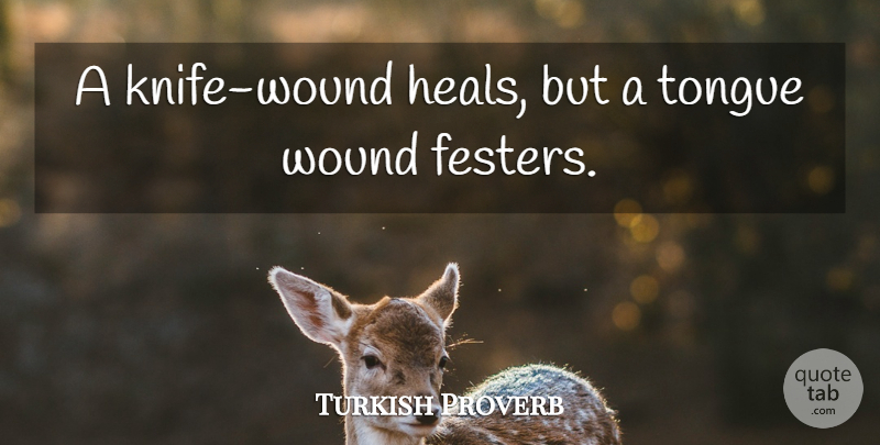 Turkish Proverb Quote About Proverbs, Tongue, Wound: A Knife Wound Heals But...