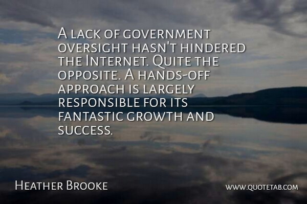 Heather Brooke Quote About Approach, Fantastic, Government, Growth, Lack: A Lack Of Government Oversight...