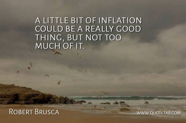 Robert Brusca Quote About Bit, Good, Inflation: A Little Bit Of Inflation...