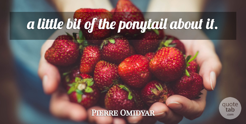 Pierre Omidyar Quote About Bit, Ponytail: A Little Bit Of The...