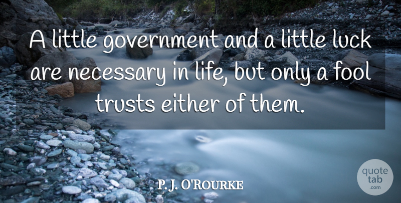 P. J. O'Rourke Quote About Government, Luck, Liberty: A Little Government And A...