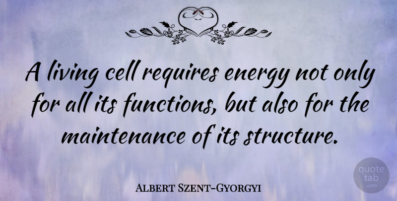 Albert Szent-Gyorgyi Quote About Cells, Maintenance, Energy: A Living Cell Requires Energy...