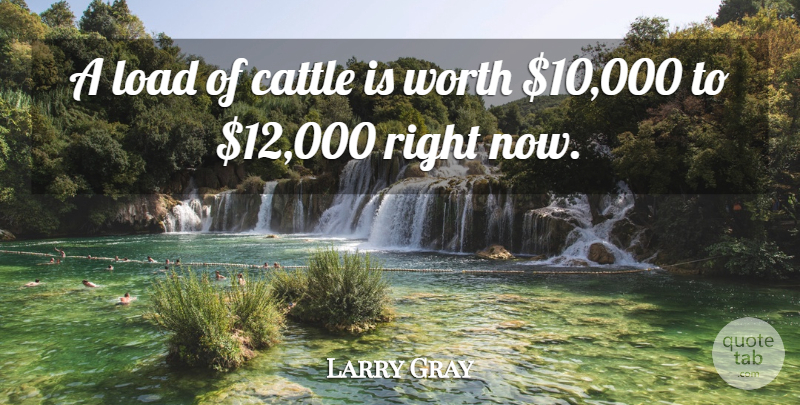 Larry Gray Quote About Cattle, Load, Worth: A Load Of Cattle Is...