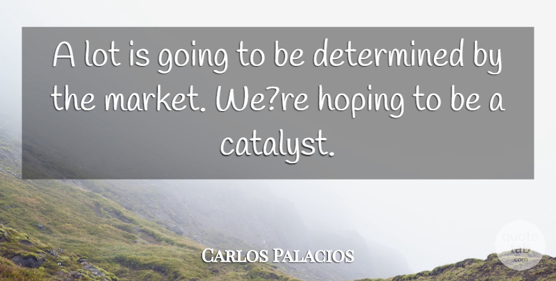 Carlos Palacios Quote About Determined, Hoping: A Lot Is Going To...