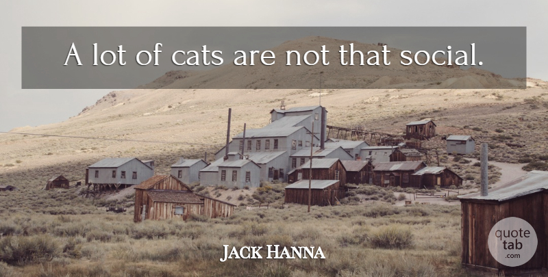 Jack Hanna Quote About Cat, Social: A Lot Of Cats Are...