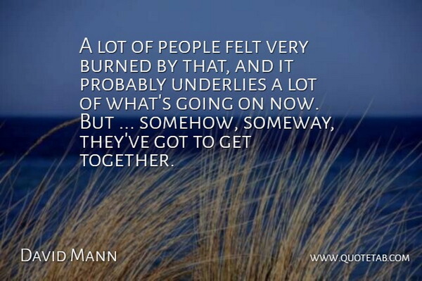 David Mann Quote About Burned, Felt, People: A Lot Of People Felt...