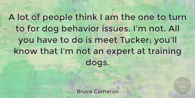 Bruce Cameron Quote About Expert, Meet, People, Turn: A Lot Of People Think...