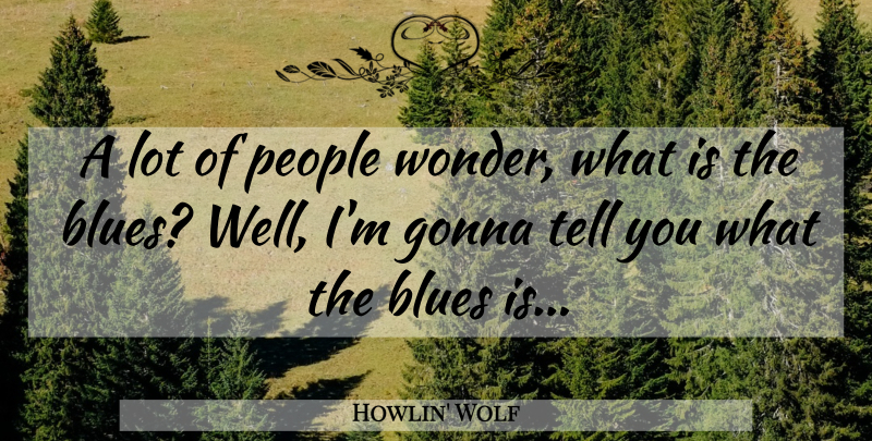 Howlin' Wolf Quote About People, Wonder, Wells: A Lot Of People Wonder...