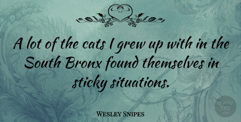 Wesley Snipes Quote About Cat, Found, Bronx: A Lot Of The Cats...