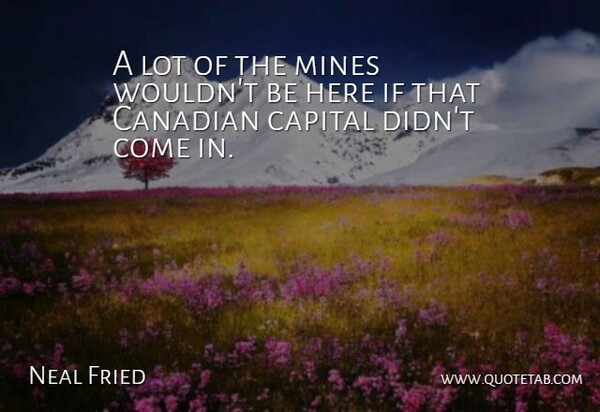 Neal Fried Quote About Canadian, Capital, Mines: A Lot Of The Mines...