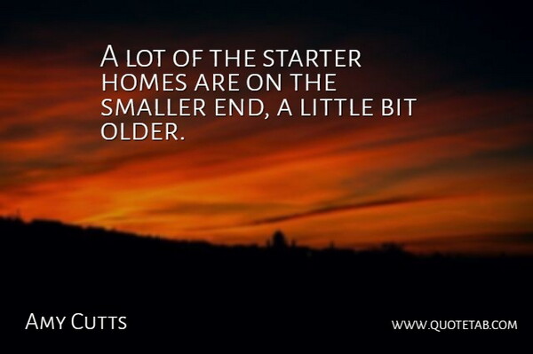 Amy Cutts Quote About Bit, Homes, Smaller, Starter: A Lot Of The Starter...