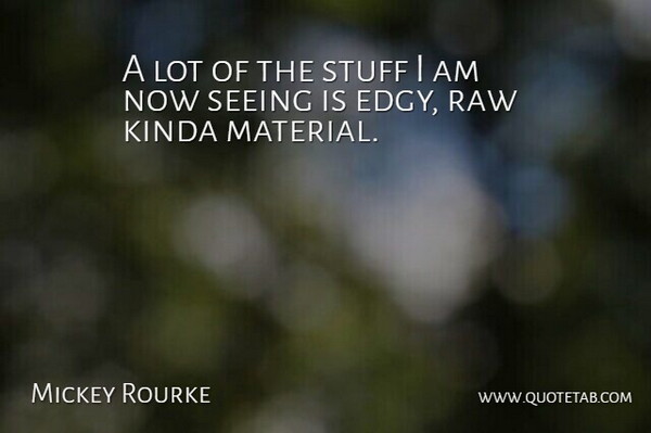 Mickey Rourke Quote About Stuff, Materials, Seeing: A Lot Of The Stuff...