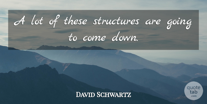 David Schwartz Quote About Structures: A Lot Of These Structures...