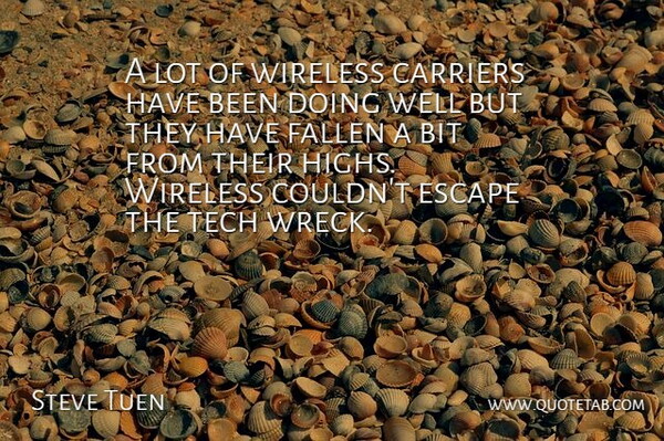 Steve Tuen Quote About Bit, Carriers, Escape, Fallen, Tech: A Lot Of Wireless Carriers...