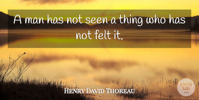 Henry David Thoreau Quote About Men, Felt, Seeing: A Man Has Not Seen...