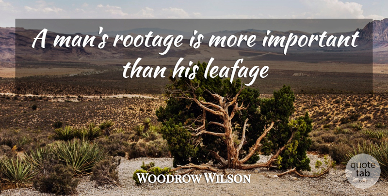 Woodrow Wilson Quote About Men, Important: A Mans Rootage Is More...