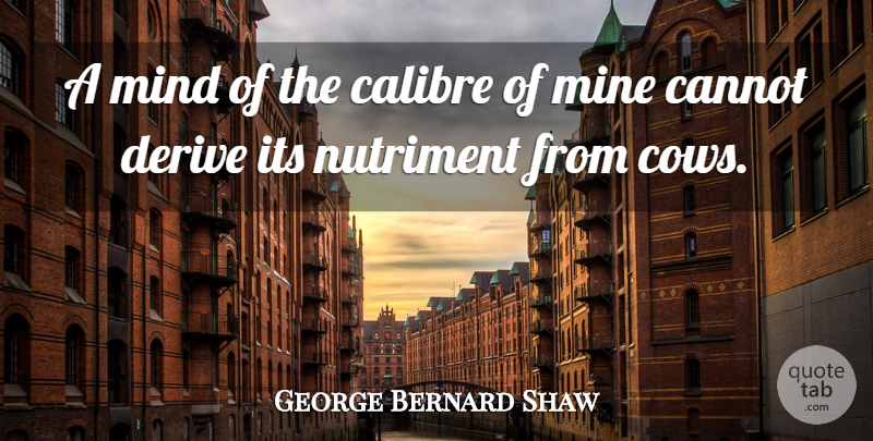 George Bernard Shaw Quote About Cannot, Derive, Mind, Mine: A Mind Of The Calibre...