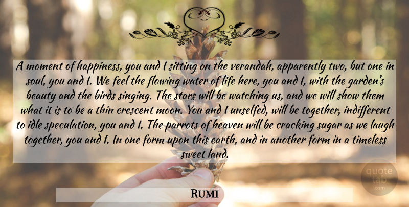 Rumi Quote About Love, Sweet, Stars: A Moment Of Happiness You...