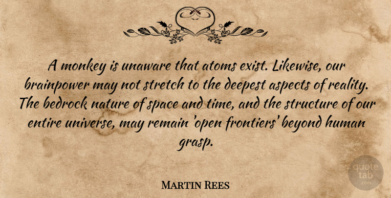 Martin Rees Quote About Aspects, Atoms, Bedrock, Beyond, Deepest: A Monkey Is Unaware That...